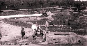 095- Sfax-1905- Taillemite